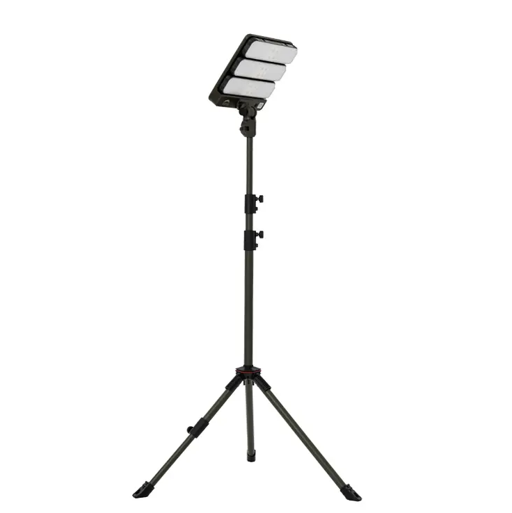 HIGH LUMAN SOLAR LIGHT FROM WILD LAND