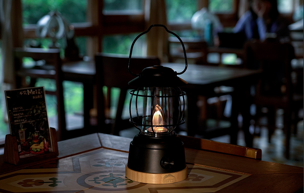 WILD LAND KNIGHT SE LAMP