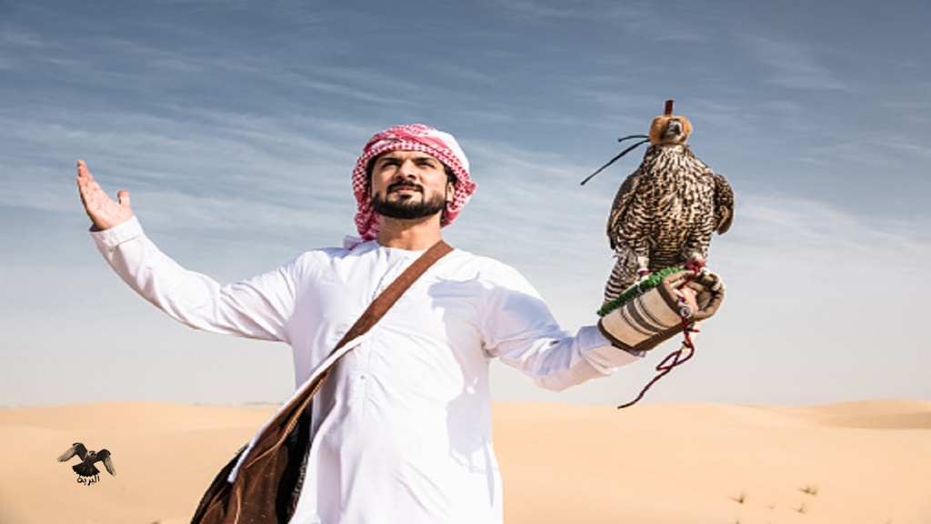 منقل صقور