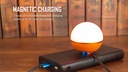 Olight #Obulb pro self- manufactured (Orange)